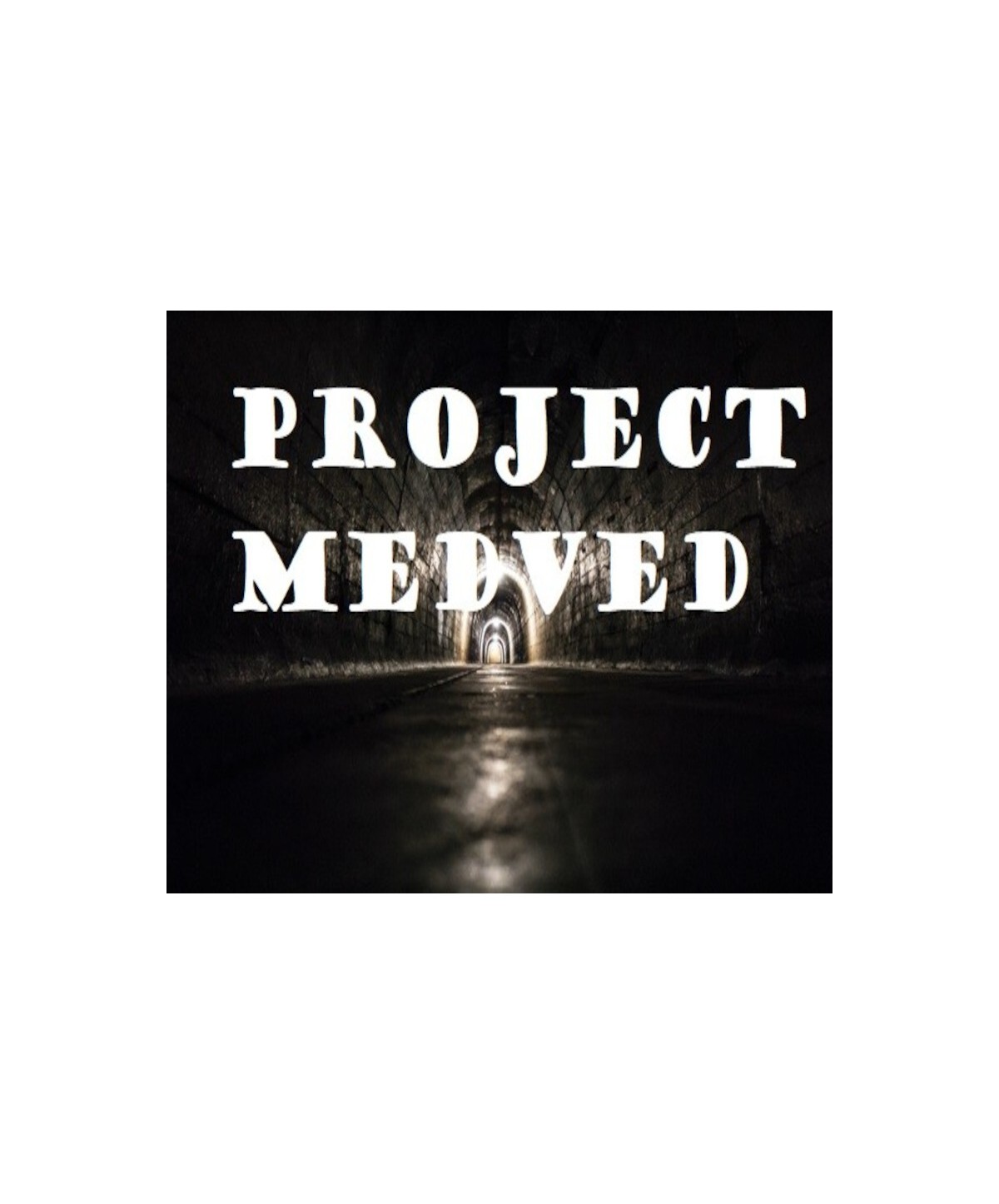 Project Medved Steam Key GLOBAL